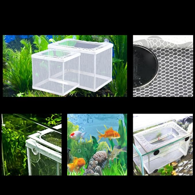 Fish Box- Aquarium Hatchery Net, Fish Breeding Box with Suction Cup for Aquarium Fish Tank (Size L)