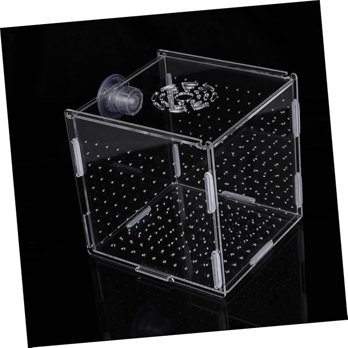 Mikikit Transparent Acrylic Fish Tank Breeding Isolation Box Multifunctional Hatching Incubator for Guppies Bettas Fish with Suction Cup Design