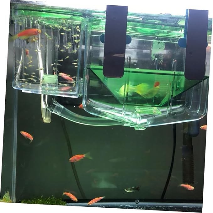 BESPORTBLE Self Guided Incubator Box for Fish Breeding Transparent Isolation Tank for Aquarium Protects Sick Fish Improves Survival Rates