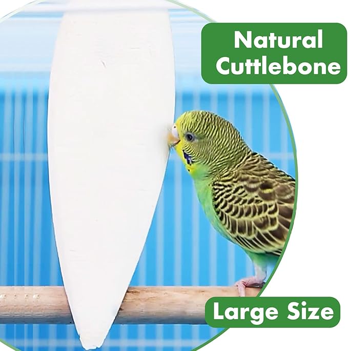 2 Pack Big Cuttlebones for Birds Parakeets Cockatiels African Greys All Parrots Tortoise Snails Animals, 6.3-6.5inch Large Cuttlefish Bones with Holder for Bird Cage