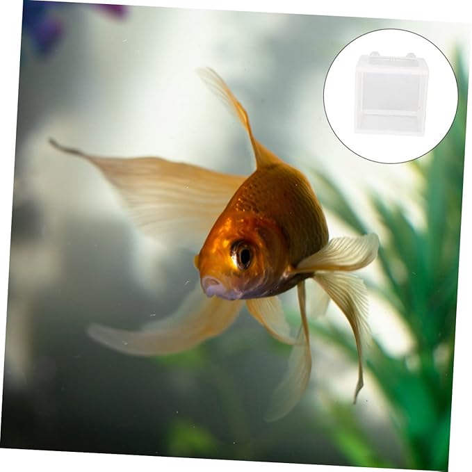 Milisten 2pcs Tropical Fish Breeding Tank Cup Isolation Box for Fish Easy to Install Aquarium Incubator Net for Safe Breeding and Hatching Color