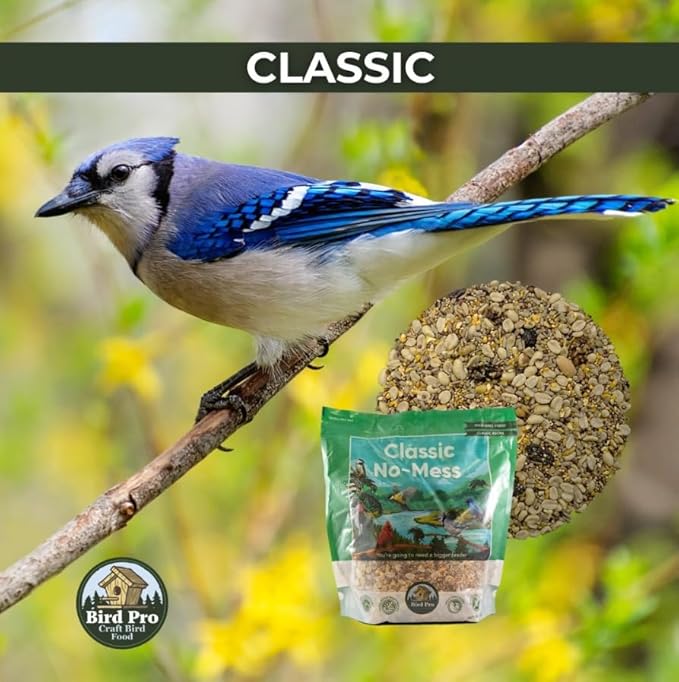 Classic Bird Seed (10 Pounds, Classic No Mess)