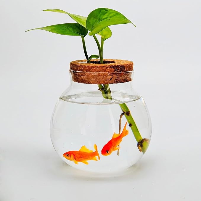 Small Betta Fish Tank Glass Fish Bowls for Betta Fish Goldfish, Aquaponic Fish Tank and Plants Cuttings Planter Terrarium Desktop Decorations Gifts