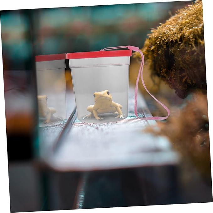 1pc Box Turtle Tank Mini Spider Habitat Pet Acrylic Nature Exploration Cage Mini Fish Fedding Cup Transparent Cup Reptile Pet Feeding Container Transport Vehicle Betta Fish Plastic