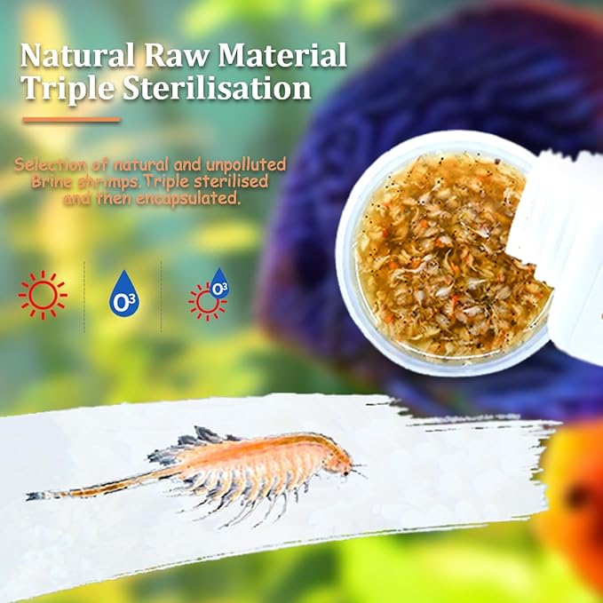 Fresh Brine Shrimp Fish Food - Adult Non-Living Shrimp for Fish Over 1 Inch
