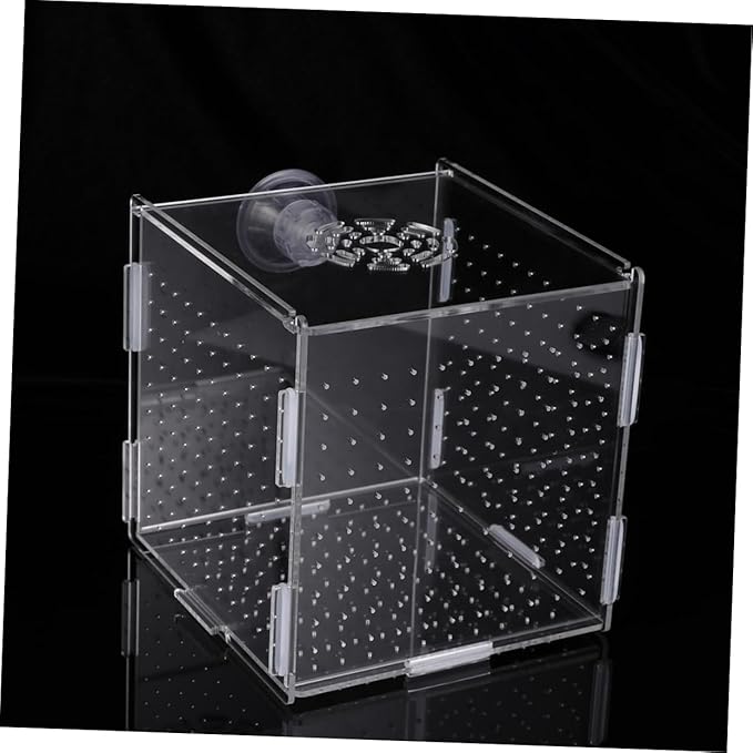 Mikikit Transparent Acrylic Fish Tank Breeding Isolation Box Multifunctional Hatching Incubator for Guppies Bettas Fish with Suction Cup Design