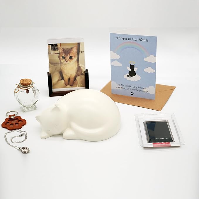 Pet Cat Urns for Ashes, Sleeping Resin Cremation Animal Urn and Sealed Bag, Decorative Funerary Memorial, Fur Keepsake, Ashes Necklace, Keychain, Inkless Paw Print Kit, Picture Frames, Sympathy Cards