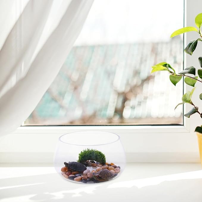 Mikikit Glass Turtle Bowl Fish Tank Thick Small Fish Bowl Hydroponic Planter Desktop Aquarium Suitable for Home Micro Landscape and Aquatic Pets