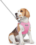 rabbitgoo Dog Harness Small Medium Sized and Leash Set, Step in Soft Light Puppy Vest, Breathable Mesh Pet Harness, Reflective for Safe Easy Walking, Pink & Gray L