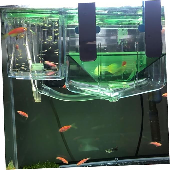 Angoily Self-Guided Fish Breeding Tank Incubator Box Isolation Box for Fish Protects Fry for Aquariums and Home Use