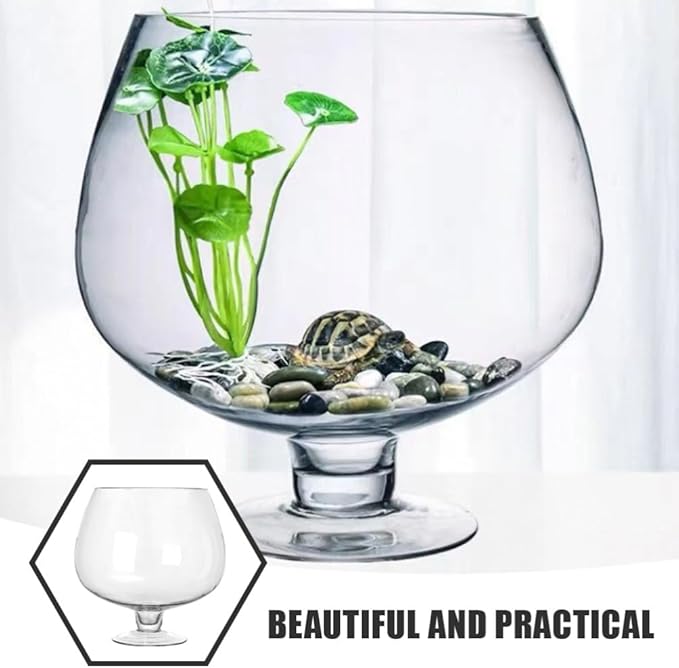 POPETPOP Transparent Multi-Function Betta Tank Decorative Desktop Aquarium for Plants Vase for Home Office Decor Unique Design