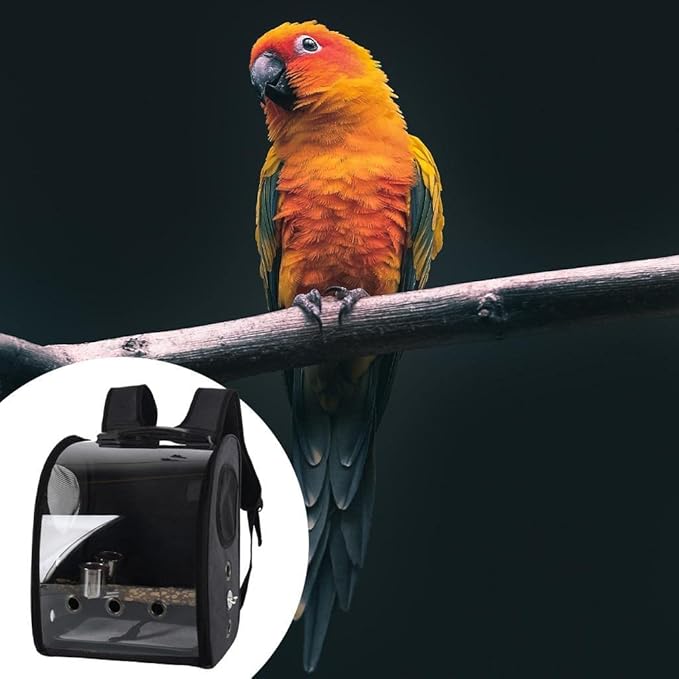 Compact Carrier for Birds with Clear View and Travel Features, Black