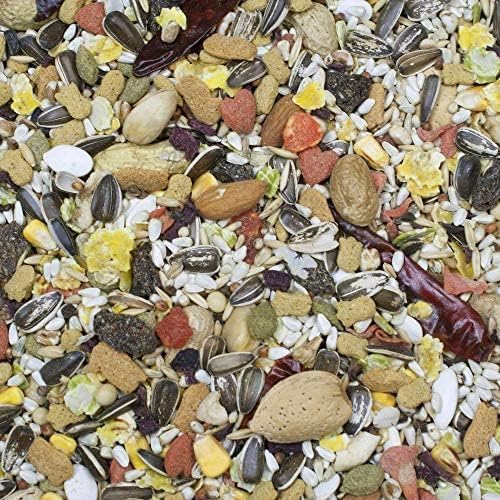 Aurora Pet Bundle (2) Higgins Sunburst Gourmet Blend Parrot Bird Food (3 lb Each) with AuroraPet Wipes