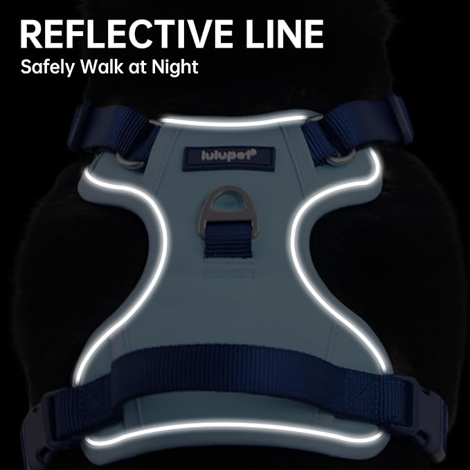 No Pull Dog Harness Leash and Collar Set, Soft Adjustable Dogs Vest Reflective and Comfortable Handle Blue Large