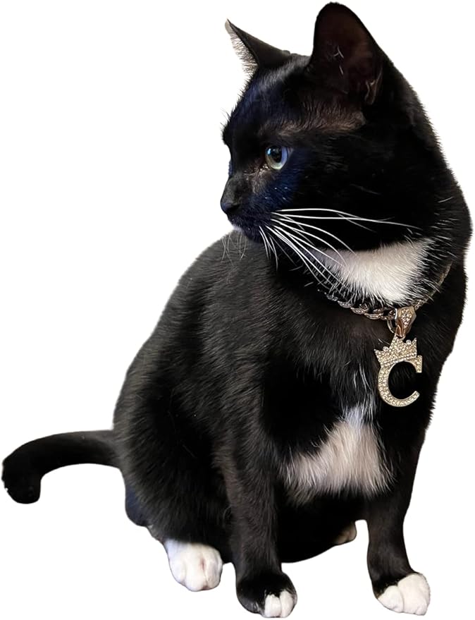 Initial Letter Cuban Chain Dog Chain Pet Chain Pet, Cat, Puppy Chain (24", A)