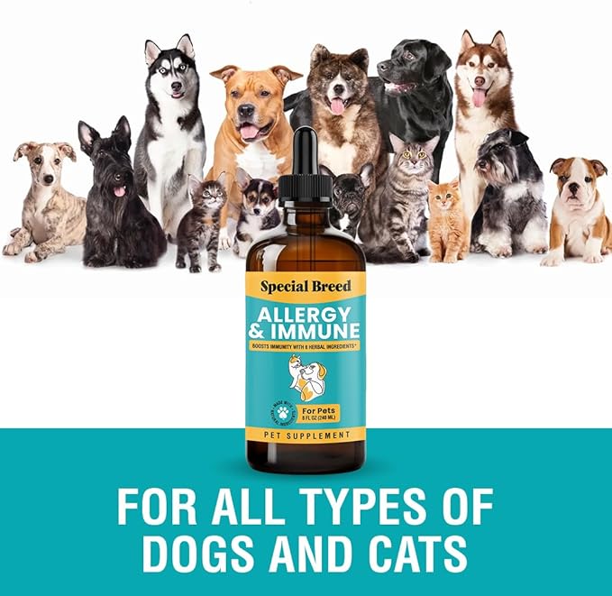Special Breed Allergy & Immune with Elderberry, Allergy Relief for Cats and Dogs, Anti Itch Treatment, Relief for Pet Allergies, Immune Support for Cat or Dog, 8 Ounce (Pack of 2)