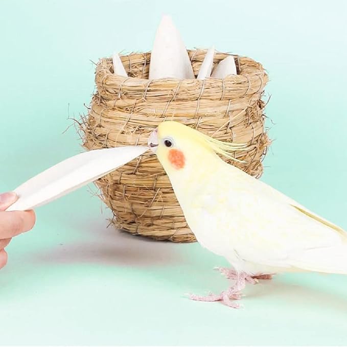 Cuttlebone for Birds Parakeets Canaries Cockatiels Small Conures Mynahs Toucans African Greys All Parrots Snails Totoise,Natural Cuttlefish Bone for Bird Cage (7"-7.5"(Pack of 6))