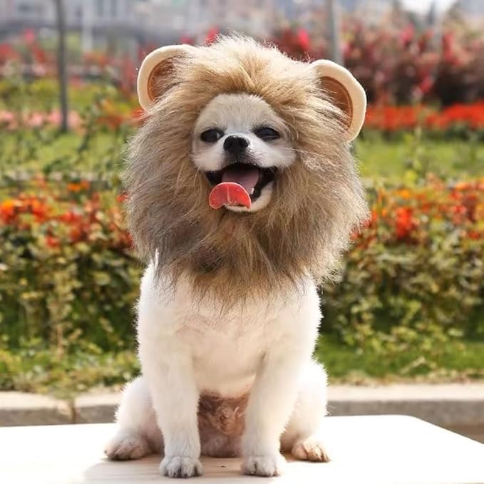 5 Pcs Cat Costume Hats – Cute Lion Mane & Bunny Ears Headwear for Cats,Kitten Puppy Party Easter Costume Accessory Headwear(Lion,Bunny,Frog,Sunflower,Bear)