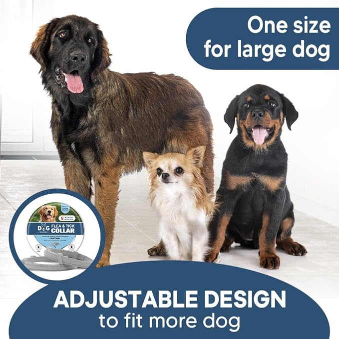Tick and Flea Collar for Dogs, Flea Collar for Dogs, Tick Collar for Dogs,Flea Collar for Large Dogs, Dog Flea Collars, Lasts Up to 8 Months, Indoor & Outdoor Use – 2 Pack