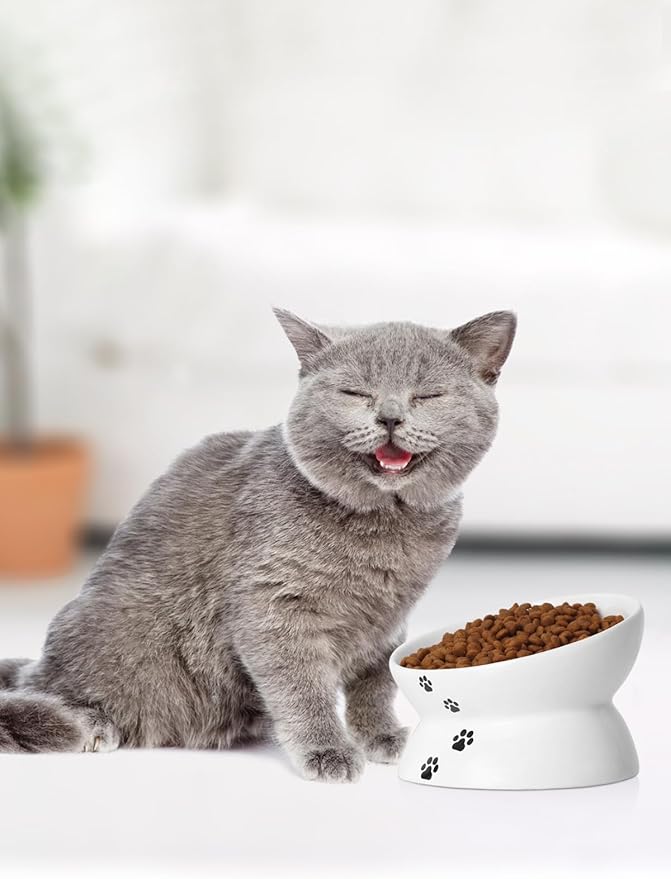 Y YHY Cat Bowl Anti Vomiting, Raised Food Bowls, Tilted Elevated Bowl, Ceramic Pet Food Bowl for Flat Faced Cats, Small Dogs, Protect Pet's Spine, Dishwasher Safe (5 Inches, White)