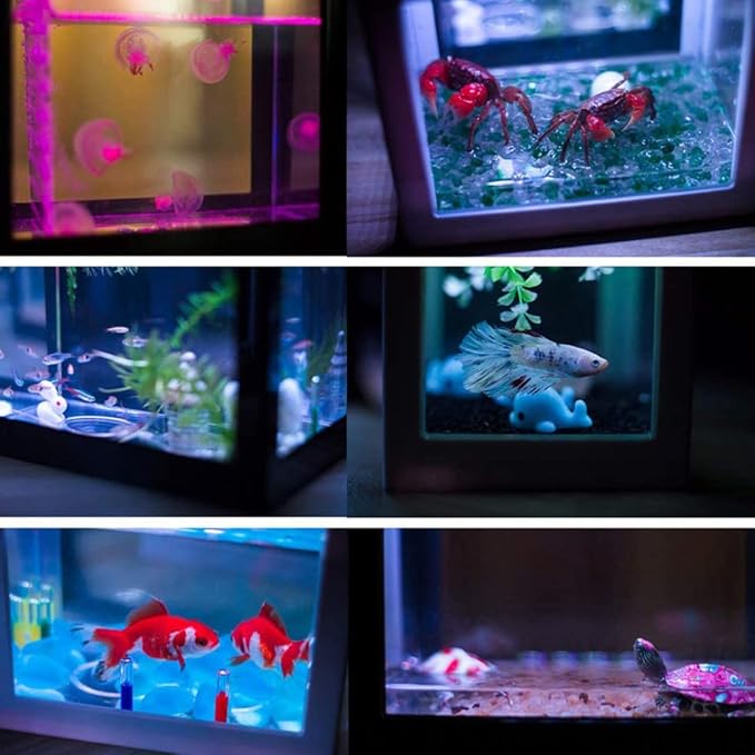 Mini Fish Tank Decorative Stackable Acrylic Small Fish Tank for Office Tea Table Decor Bowls Black