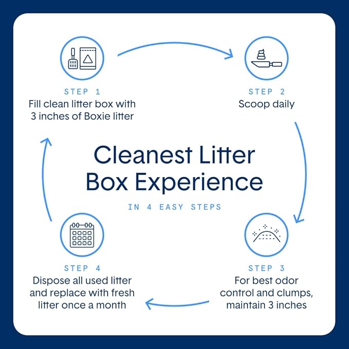 Boxie Unscented 30 Day Odor Control Clumping Clay Cat & Kitty Litter 16 lb, 99.9% Dust-Free, Hard Flat Top Clumps, No Fragrances No Fillers, Long-Lasting, Easy to Scoop (Pack of 2)