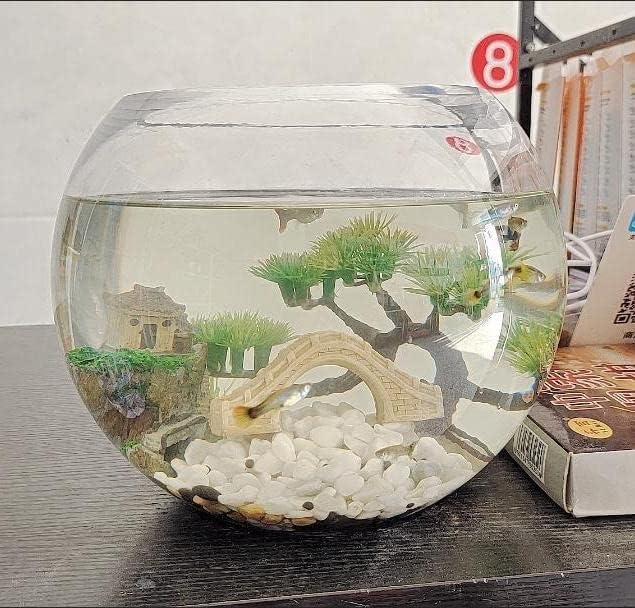 Small Japanese Fish Tank Decorations Set, Suitable for Aquariums up to 5 Gallon or Fish Bowl, Includes Small Decorations Artificial Plastic Plants Fish Tank House