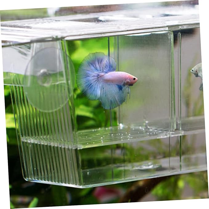 BESPORTBLE Dual-Layer Floating Fish Hatching Box Fish Breeding Container for Betta and Guppy for Fry
