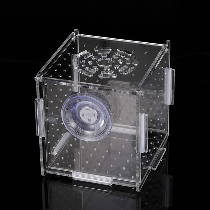Fish Breeding Box- Box Hatchery Incubator Aquarium Fish Breeding Boxes Divider Hatching Boxes Accessory for Small Shrimp Clownfish Guppy-Small Suction Cup