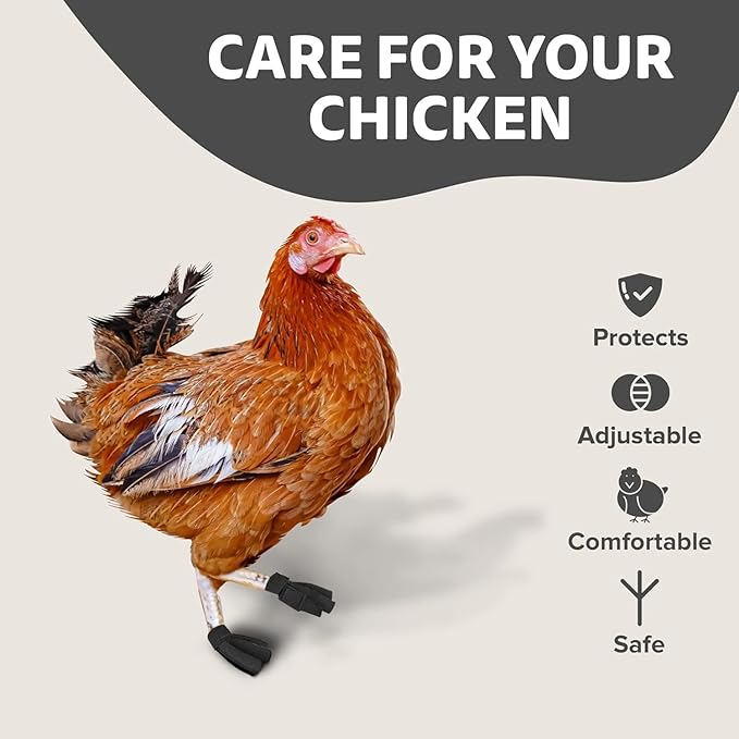 Chicken Shoes for Injured Feet – Protective Neoprene Footwear for Chicken, Open-Toe Design for Bumblefoot Relief, Made in USA (Chicken Shoes, Navy, Medium Chickens)