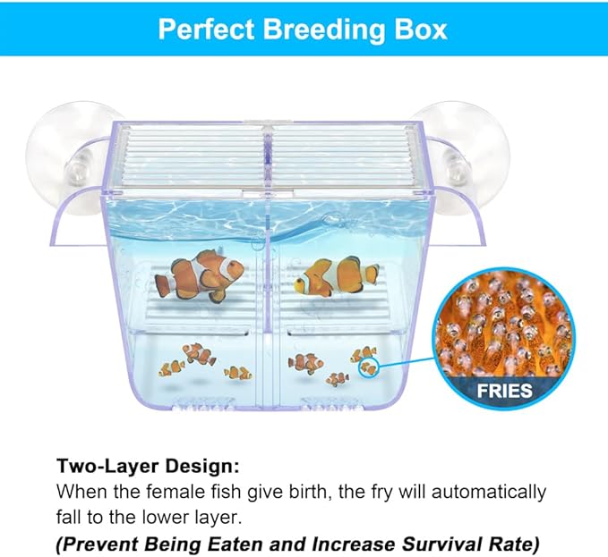 Fish Breeding Box Aquarium Holding Tank Transparent Fish Isolation Box Acclimation Hatchery Incubator Breeder for Betta Shrimp Clownfish Guppy(Size S)