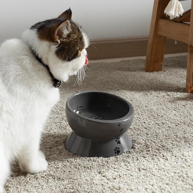 Y YHY Elevated Cat Food Bowl, Raised Pet Food and Water Bowl, Ceramic, 15oz