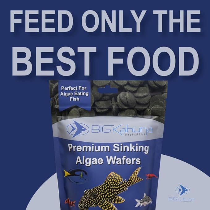 Medium 12mm Algae Wafer - Algae Wafers for Bottom Feeders - The Best Pleco Wafers & Pleco Food Available - Algae Wafers for Snails (16 oz)