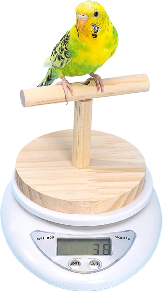 Parrot Weighing Scale – Bird, Electronic Scale | Small Animal Feeding Weight Tool for Xuanfeng Tiger Skin Peony, Measuring Bird Food Grain and Milk Powder for Daily Health Monitoring and Pet