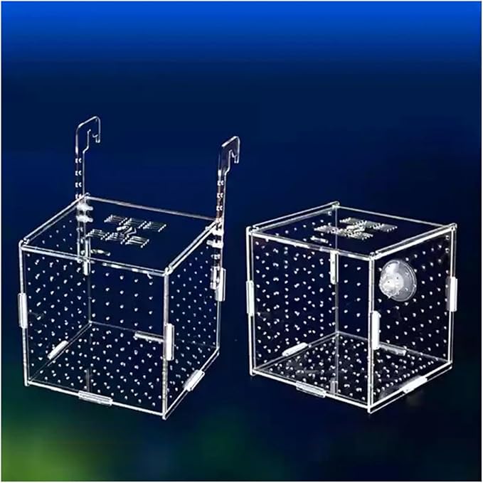 Transparent Acrylic Aquarium Isolation Box - Single & Double Grid Fry Breeding Tank for Fish Hatcheries(Hook)