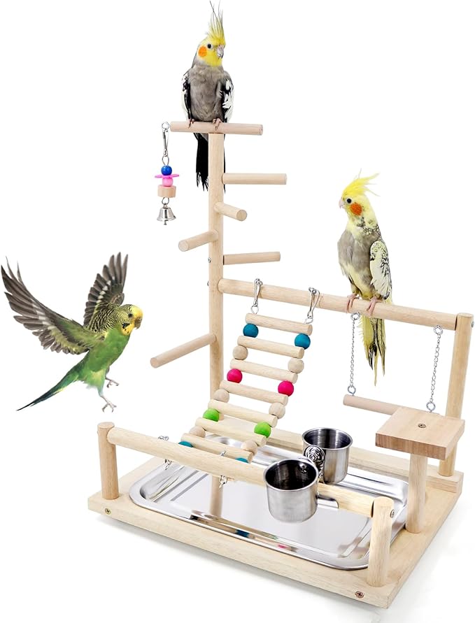 Bird Playstand Cockatiels Playground Perch Stand Parrot Play Gym for Parakeets Conures Parrotlets and Finches, Easy Assembly Includes Colorful Toys and Perch 1Ladder with Platform