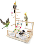 Bird Playstand Cockatiels Playground Perch Stand Parrot Play Gym for Parakeets Conures Parrotlets and Finches, Easy Assembly Includes Colorful Toys and Perch 1Ladder with Platform