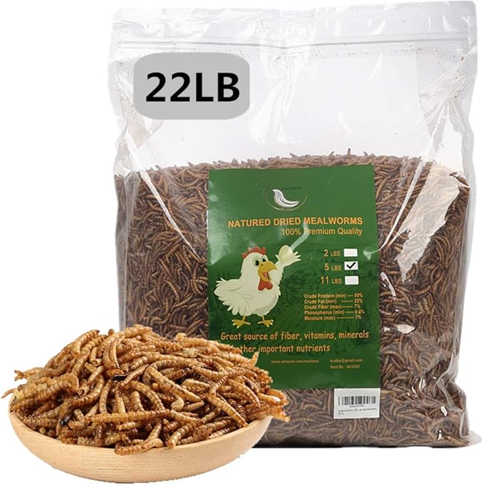 HANDPOINT 22 lbs Dried Mealworms, 100% Non-GMO Natural High-Protein,Treats for Chicken, Fish, Bird Food(22LB)