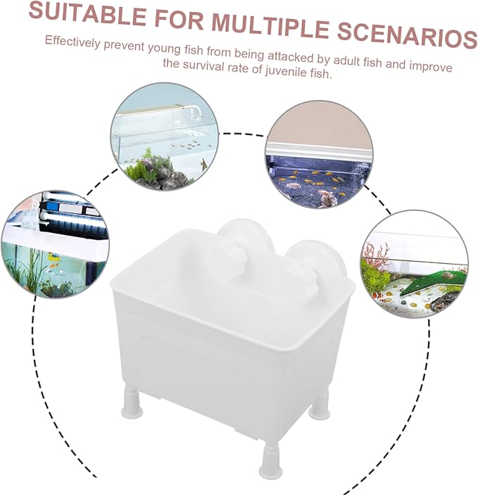 Totority 1set Aquarium Breeding Isolation Box Cups Fish Breeding Tank for Betta Shrimp and Newborn Fish Protects Young from Adult Lightweight and Portable Nursery