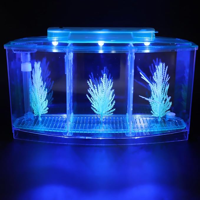 AYNEFY Mini Fish Breeding Box,Aquarium Fish LED Acrylic Three Divisions Small Fishes Isolation Incubator Breeding Hatchery for Guppy Shrimp Fishes (Blue)