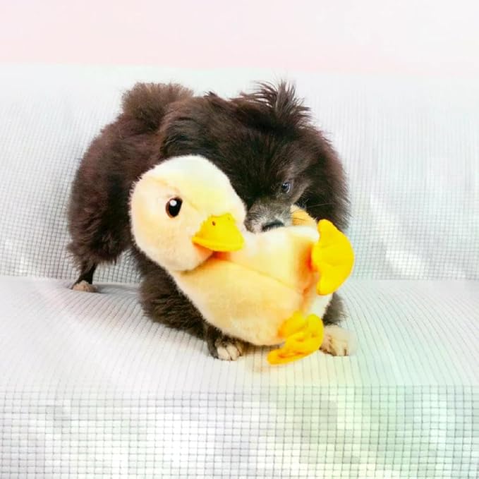 KONG Toughz Durable Plush Dog Toy - Long-Lasting Soft Chew Toy for Aggressive Chewers, Safe & Interactive for Dogs (Duck)