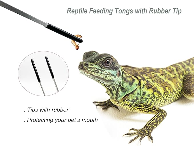 Stainless Steel Straight and Curved Tweezers Aquarium Tweezers with Rubber Tips Long Handle Reptile Feeding Tongs for Fish Tank Aquatic Plants, 2pcs, 10.6 Inch, Silver