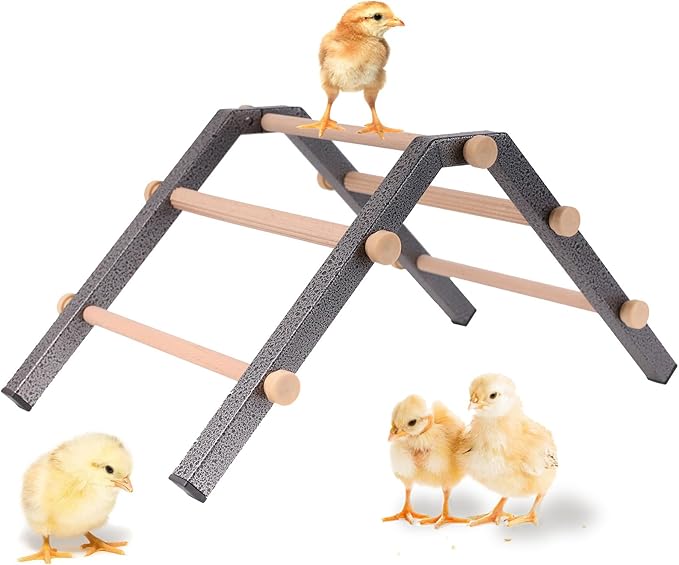 Baby Chick Perch, Durable Metal Stand with Wooden Roosting Bar for coop and brooder, Training Chicken Perch Easy to Assemble and Clean, Fun Toys for Chick (Trapezoid, Small)