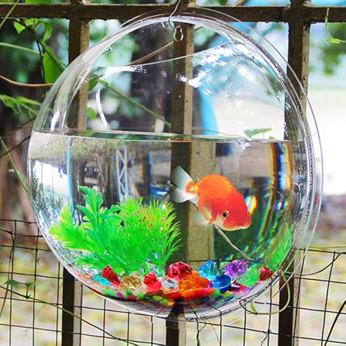 balacoo Wall Mounted Fish Tank 6.7 Inch Acrylic Aquarium with Hanging Design for Home Decor Transparent Fish Bowl with Random Aquatic Plants Ideal for Betta and Small