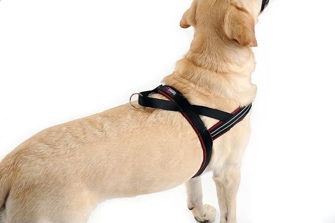 ComfortFlex Sport Dog Harness – No-Choke, Fully Padded, Non-Chafing Harness with Control Handle – Reflective, Lightweight, Adjustable for Active Dogs - Large, Red