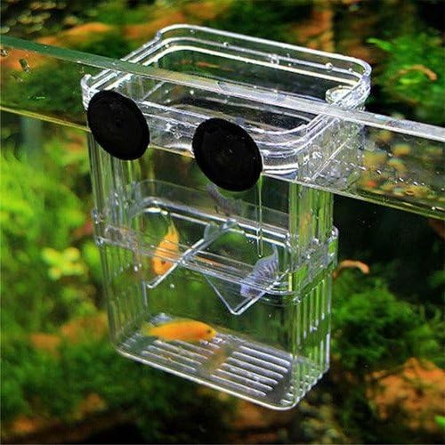 XMHF Plastic Fish Isolation Box Multi-Functional Breeding Hatchery Incubator Box