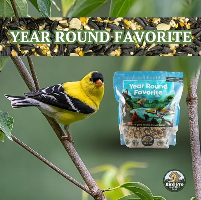 Classic Bird Seed (40 Pounds, Year Round Favorite)