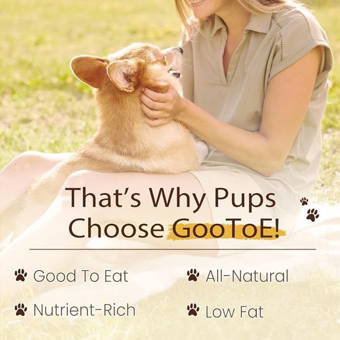 Gootoe Dog Treats, All Natural, Low Fat, Premium Training Chews, Healthy & Easily Digestible, Treat and Train, Chicken Breast Wrapped Salmon Sticks, 6oz