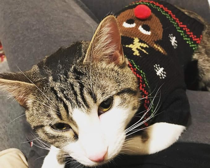 Cat Sweater Christmas Santa Claus Pet Cat Winter Knitwear Warm Clothes
