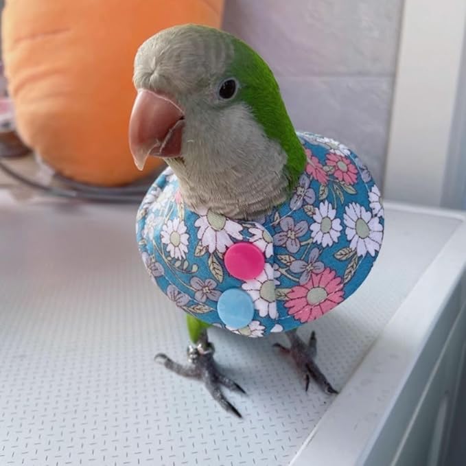 Bird Collar - Anti-Bite Elizabethan Recovery Cone Feather Plucking Protector Skin-Friendly Neckwear for Parakeets Conures Cockatiels Lovebirds Budgies Cockatoos African Grey Random Color (XL)